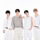파우