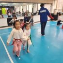 용인대예당태권도 이미지