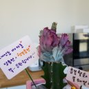 대신동마카롱 이미지