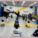 용인대대영태권도 이미지