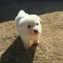 살랑살랑 이미지