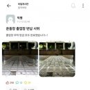 동덕여대 졸업장 반납 시위 이미지