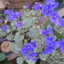 선산대로10-10 이미지