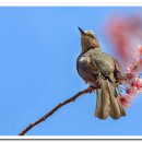 배화학교 이미지