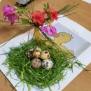 감성스피치 자격과정 이미지