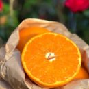 (주)맘스팜 이미지