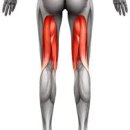 바른짐 PT 이미지