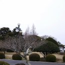 대유랜드입구 이미지