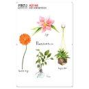 A0144 쇼핑하우