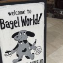 뮤지엄호두 MUSEUM HODU | 잠실 런던베이글뮤지엄 웨이팅 포장 메뉴 가격