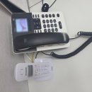 행정용 4 이미지