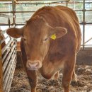 김판정농장 이미지