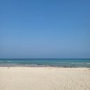 초록망고 이미지