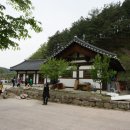 유곡리마을회관 Daum카페