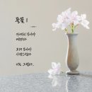 배바우손두부 이미지