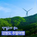 박경리뮤지엄 | 주말에 가볼만한 곳｜강원도 주말 코스, 삼양목장 이후 뮤지엄산 vs 동해바다