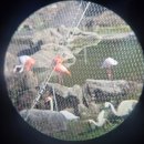 가족나들이 | 청주랜드 동물원 가족나들이 후기 | 딸아이와 함께한 행복한 주말