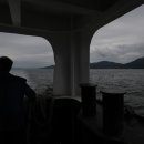 괭이바다 이미지