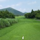 엘리시안컨트리클럽 이미지