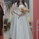 디샵;센티멘탈시너리