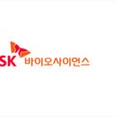 46 이미지
