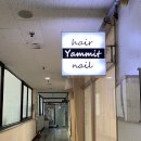 신데렐라 | 건조한 머릿결 관리, 야밋헤어 신데렐라클리닉 후기