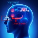 소울썸 이미지