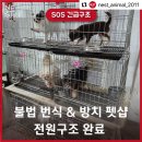 은평구 허가 펫샵 구조현장이긔 (네스트) 이미지