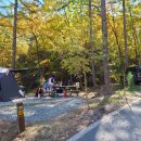 별천지야영장 이미지