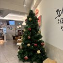 설빙 | *대구 수성구 범어동* 설빙 대구범어점 / 신상 생딸기초코케이크설빙 내돈내산 후기