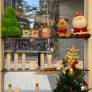 아담과 이브 미용실 | [동대구역 나인포이브] 컷트후기, 테슬컷, 단발허쉬컷