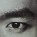 연예인눈썹 이미지