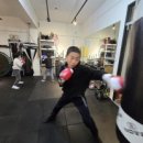 블로우복싱 이미지