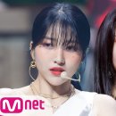 애플노래 이미지