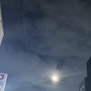 태령약국 | 신길동 밤 9시까지 하는 태령약국 방문후기, 마운자로 구매+영양제