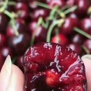 바이오농장 이미지