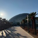 새둥지식당 | 겨울 거제도 가볼만한곳 [거제식물원] 실내데이트 정글돔 후기