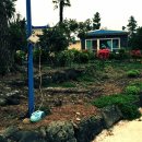 큰소낭 작은돌집 | 남원읍 민박 큰소낭작은돌집 따뜻하다.