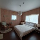 솔레올레 이미지