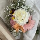 산수로L | 강아지 장례 절차 및 장례 후기