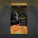 레오나르도 이미지