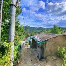 삼기약국 이미지