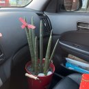 오희선착한찜닭 이미지