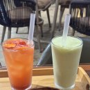 지오아라 | 산방산뷰 끝판왕 서귀포 카페 추천 지오아라 후기