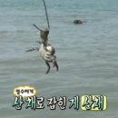 명수상회 이미지