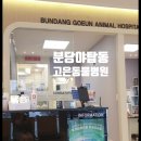 분당고은 동물병원 이미지
