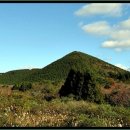 동광리-12 Daum카페