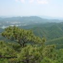 옥천 - 영도구 | 옥천