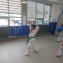 계룡태권도 이미지