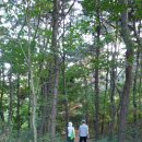 부곡공원길 이미지